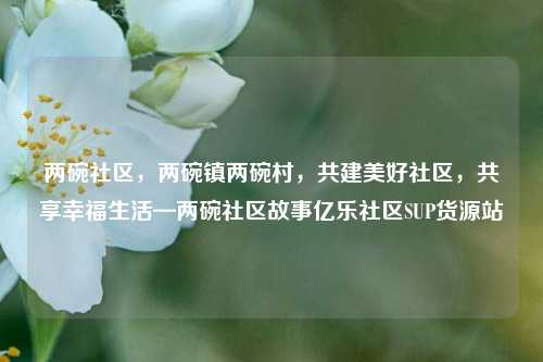 两碗社区	，两碗镇两碗村，共建美好社区，共享幸福生活—两碗社区故事亿乐社区SUP货源站  第1张