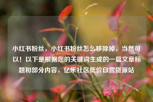 小红书粉丝	，小红书粉丝怎么移除掉，当然可以！以下是根据您的关键词生成的一篇文章标题和部分内容，亿乐社区低价自营货源站  第1张