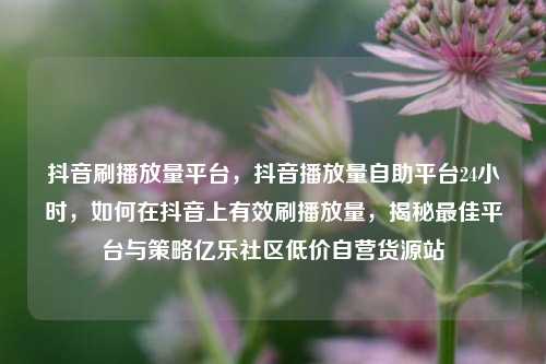 抖音刷播放量平台	，抖音播放量自助平台24小时，如何在抖音上有效刷播放量，揭秘最佳平台与策略亿乐社区低价自营货源站  第1张