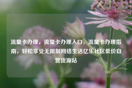 流量卡办理，流量卡办理入口	，流量卡办理指南，轻松享受无限制网络生活亿乐社区低价自营货源站  第1张