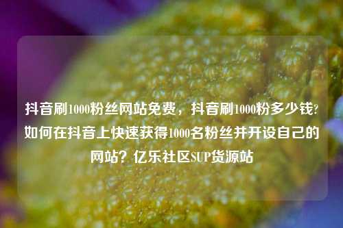 抖音刷1000粉丝网站免费，抖音刷1000粉多少钱?如何在抖音上快速获得1000名粉丝并开设自己的网站？亿乐社区SUP货源站  第1张