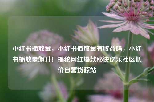 小红书播放量，小红书播放量有收益吗，小红书播放量飙升！揭秘网红爆款秘诀亿乐社区低价自营货源站  第1张